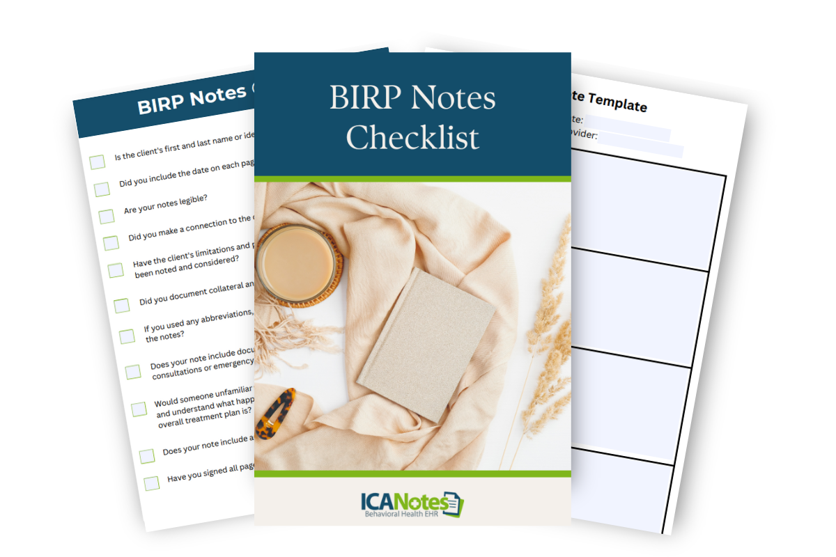 BIRP Notes Guide And Sample BIRP Notes